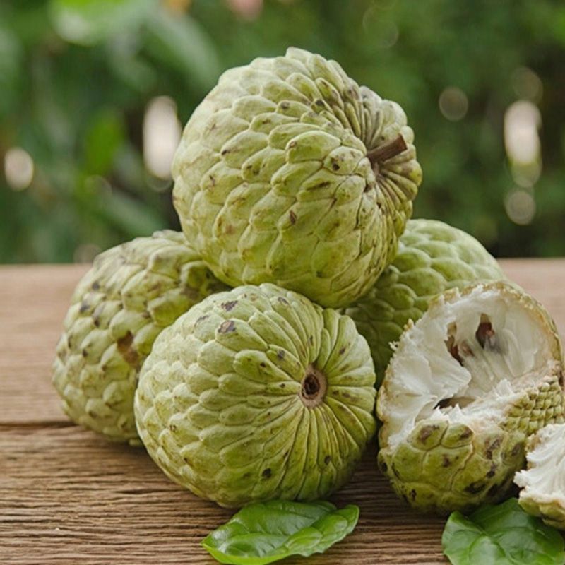 Mảng cầu na thái
