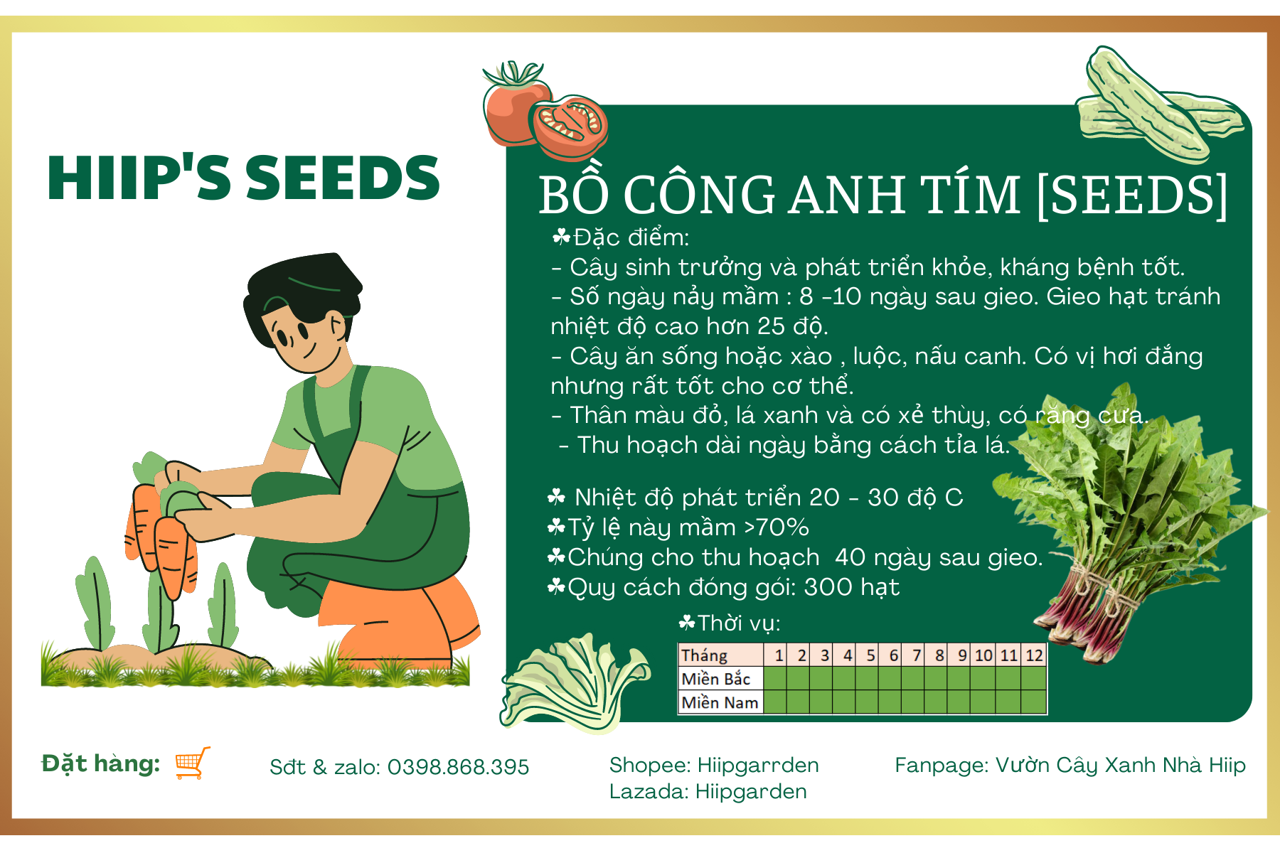 BỒ CÔNG ANH TÍM [SEEDS]