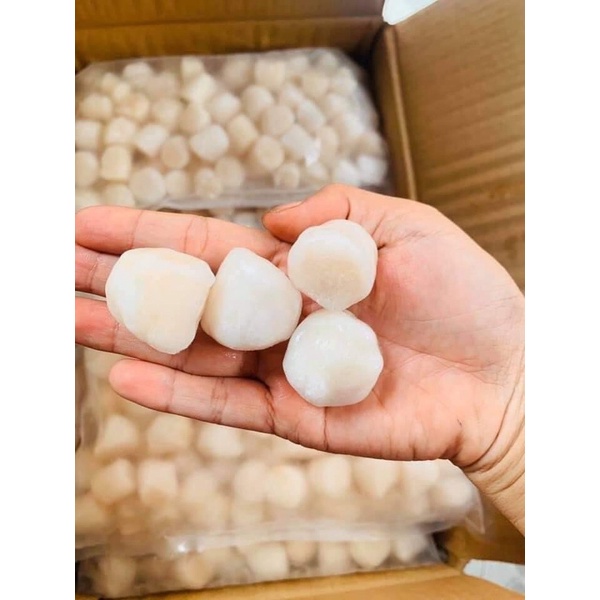 Còi sò điệp nhật size 60-80 bịch 1kg net 7 (tphcm)
