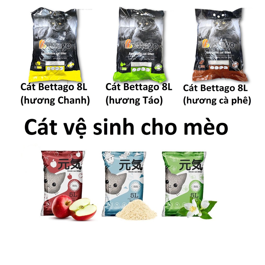 Cát vệ sinh cho mèo Betago 8L loại đất sét dễ vón cục, ít bụi, khử mùi hôi