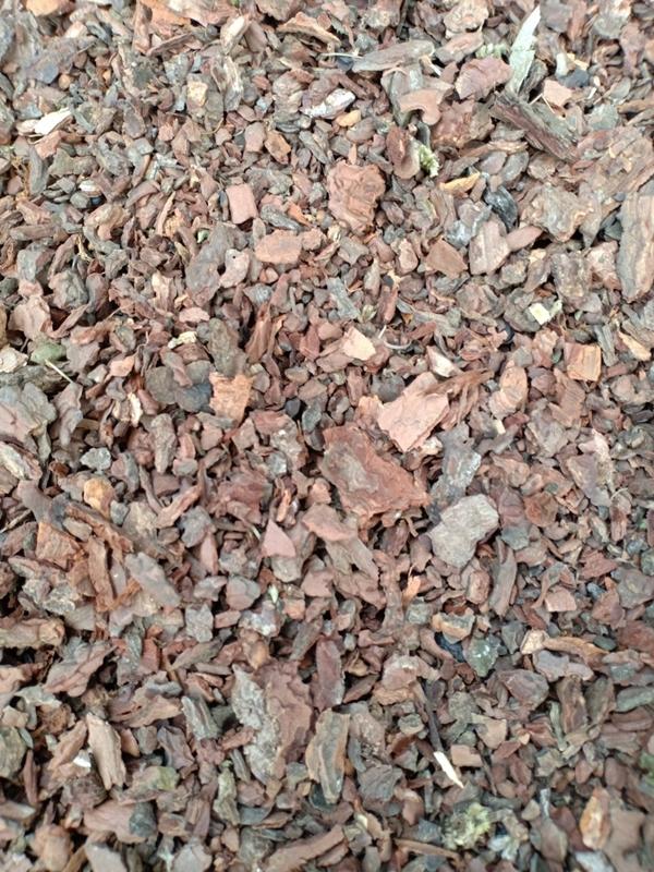1 kg vỏ thông vụn trồng lan