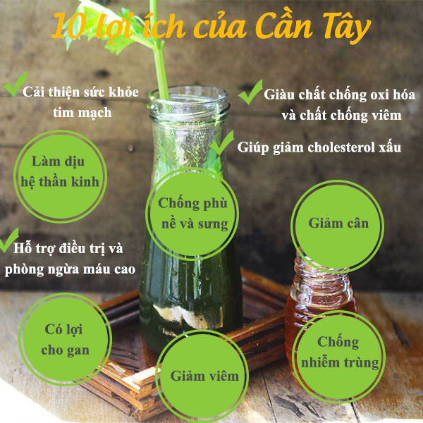 [Túi lớn loại 500gram] Bột cần tây nguyên chất - Thảo Dược Tấn Phát - Hàng công ty chất lượng cao