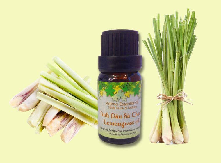 tinh dầu bạc hà 10ml