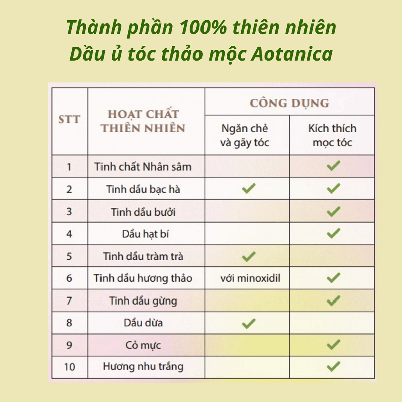 Dầu ủ tóc thảo dược Aotanica 100ml