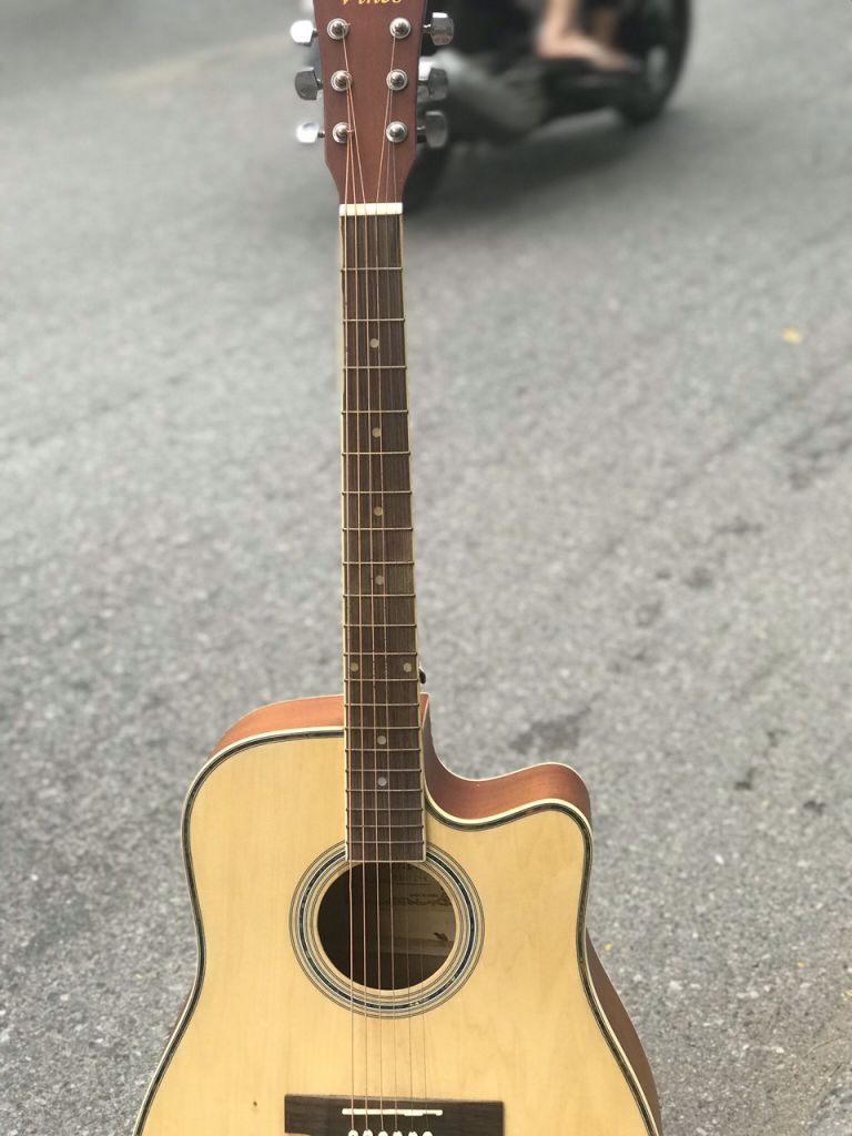 Đàn guitar Acoustic Vines VA4125N Chính Hãng