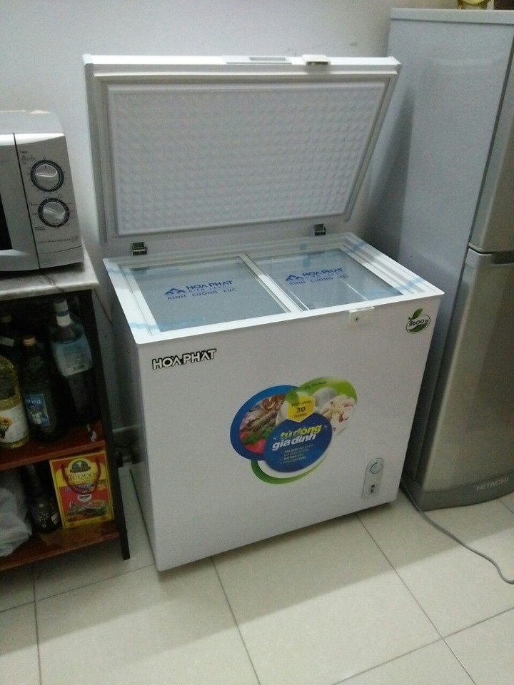 Tủ đông Hòa Phát HCF-336S1N1