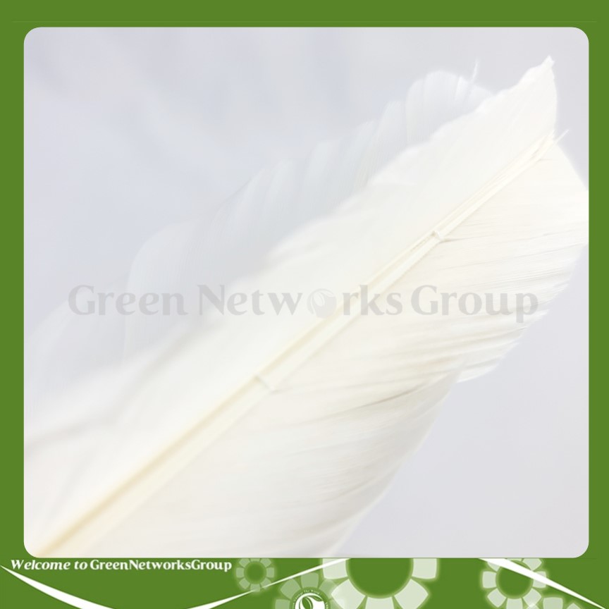 Cầu đá chân 111 Hải Đông số 3 Greennetworks ( 1 Trái )