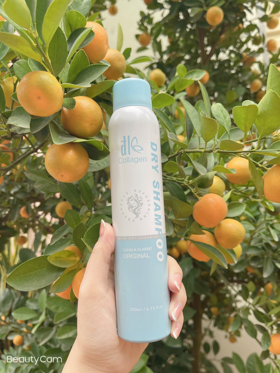 Dầu Gội Khô Collagen Đl Dry Shampoo 200ml