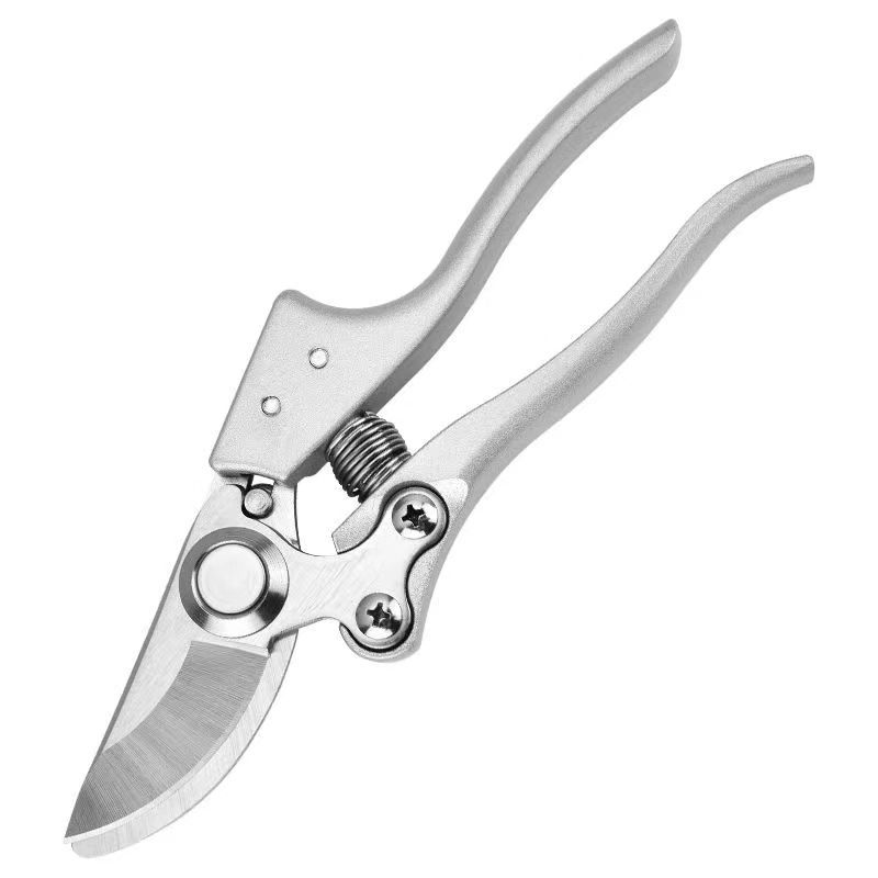 Kéo cắt tỉa cành cây