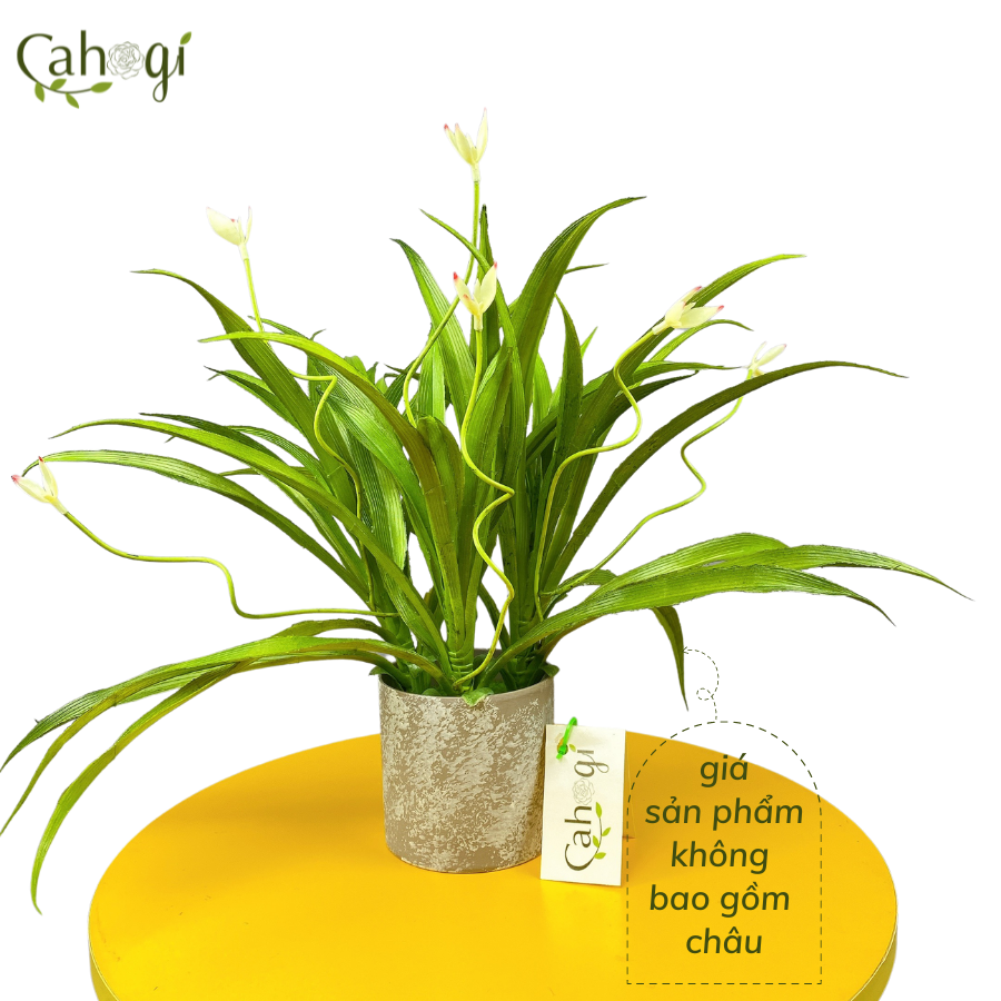 Cây Giả Cây Lan Chi 2 Nụ