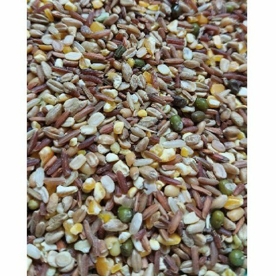 10KG Ngũ cốc cho gà tre thức ăn cho gà nòi ngũ cốc cho gà đẻ ngũ cốc cho vịt ngũ cốc cho bồ câu ngũ cốc cho chim cu ngũ cốc cho chuột