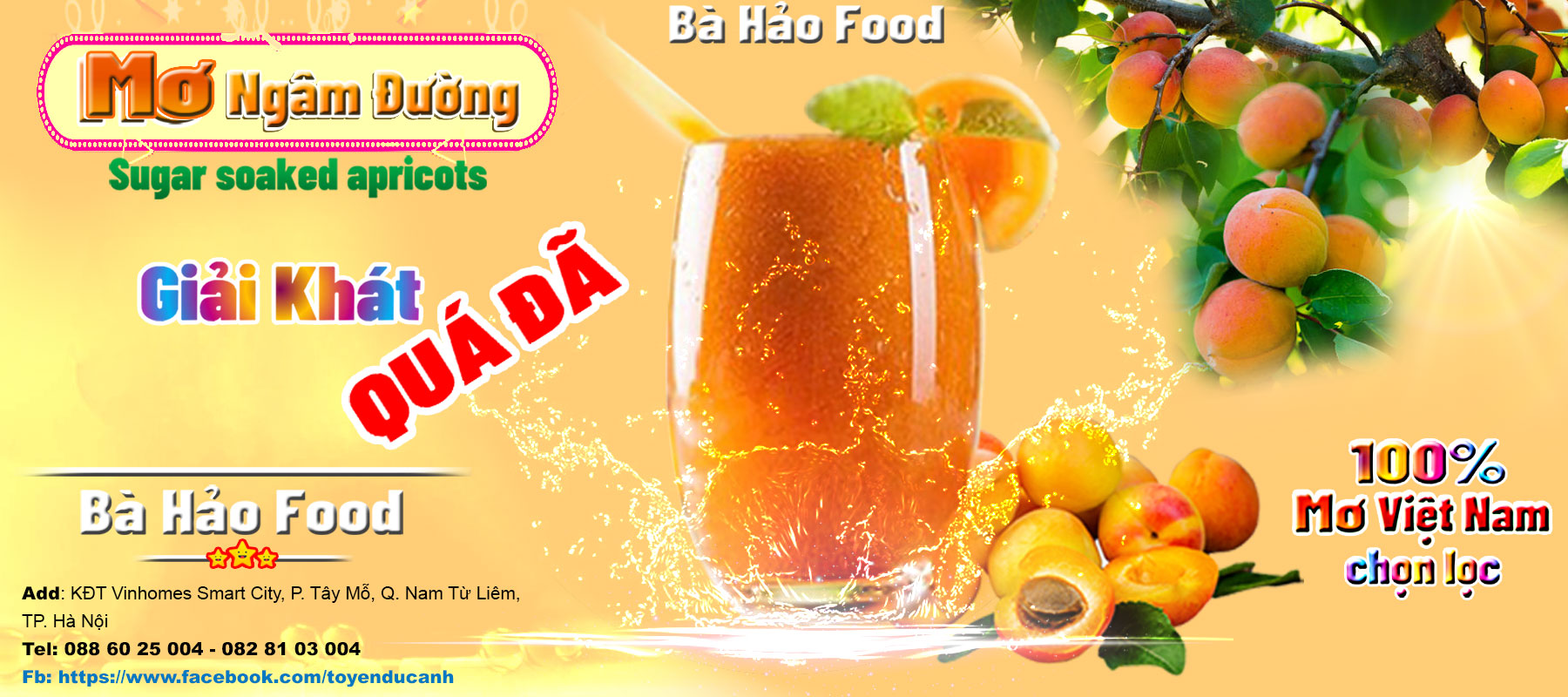 Mơ ngâm đường bà Hảo hộp 500ml