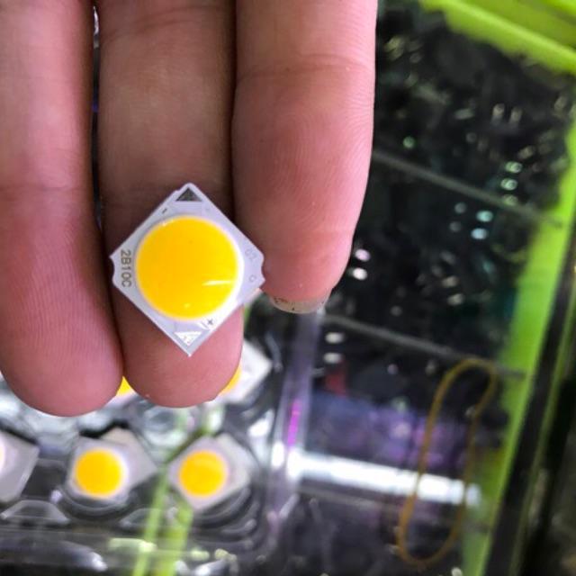 Nhân led 36v-10w cob