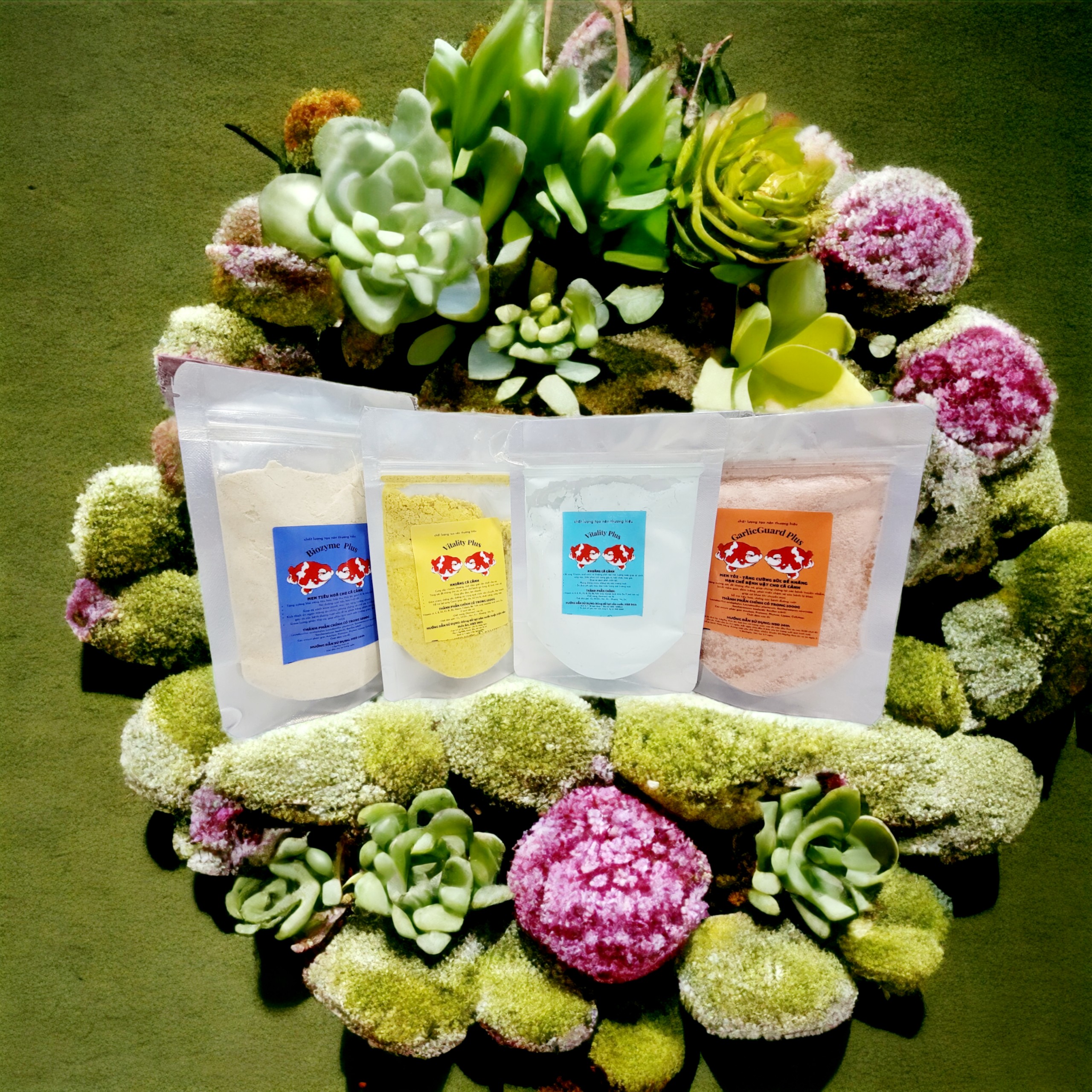 MEN TIÊU HOÁ CHO CÁ CẢNH Biozyme Plus
