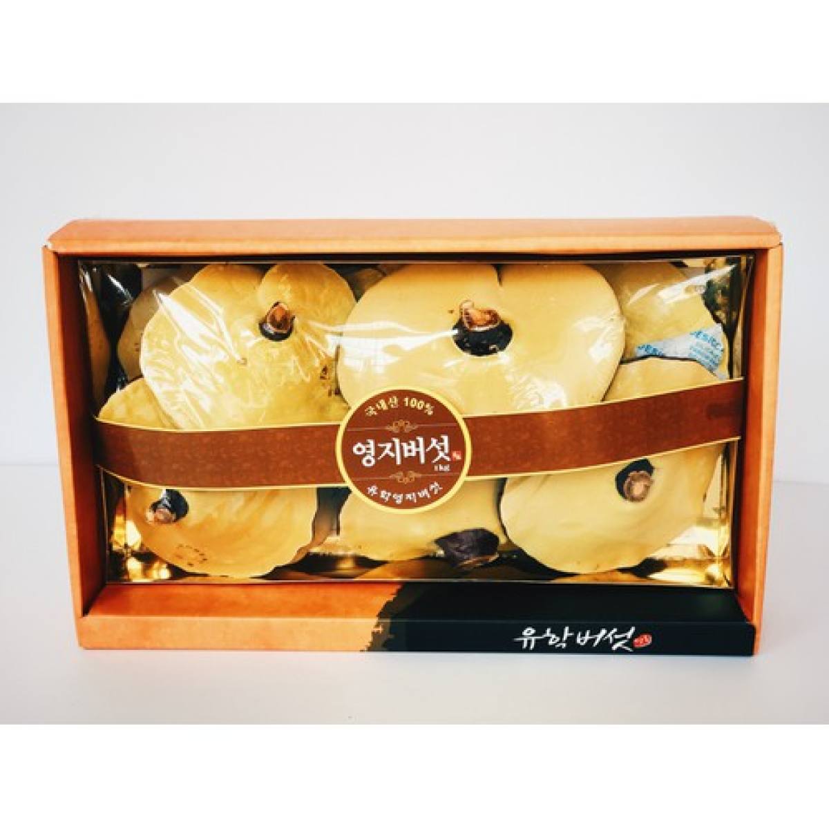 Hộp Nấm Linh Chi Đỏ