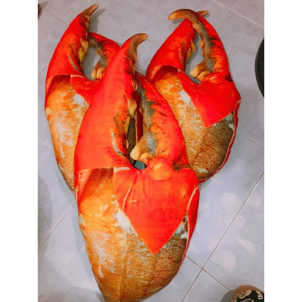 Gấu bông hình 3D