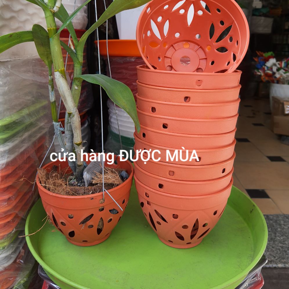 Combo 10 chậu nhựa trồng lan kiểu giả đất đường kính 14cm.
