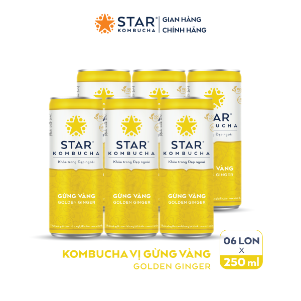 Lốc 6 lon trà STAR KOMBUCHA Gừng Vàng / Golden Ginger (250ml/lon) - Trà lên men vi sinh chứa probiotics giúp bảo vệ sức khoẻ, thanh lọc toàn diện, tăng đề kháng dùng cho mọi lứa tuổi, Chứng Nhận FDA tiêu chuẩn Mỹ