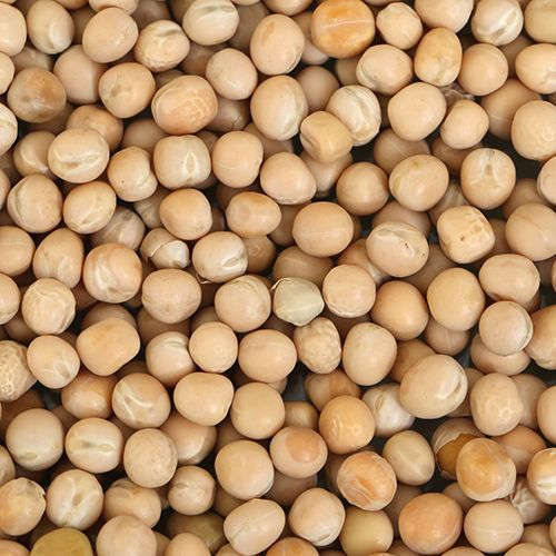 White Peas - Dry White Peas - Đậu Hà Lan Trắng khô (500g - 1kg)