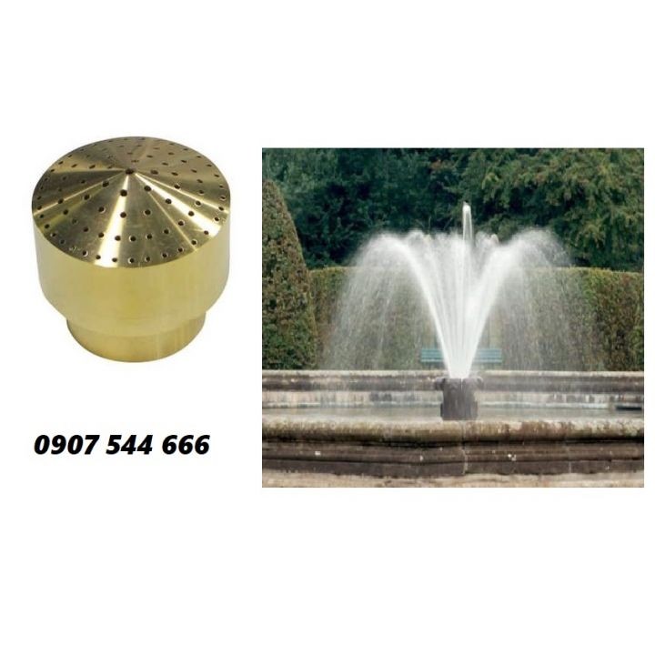 Đầu phun chùm phi 21mm
