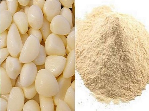 Gói 100g bột tỏi Ông Chà Và_TiTiMart