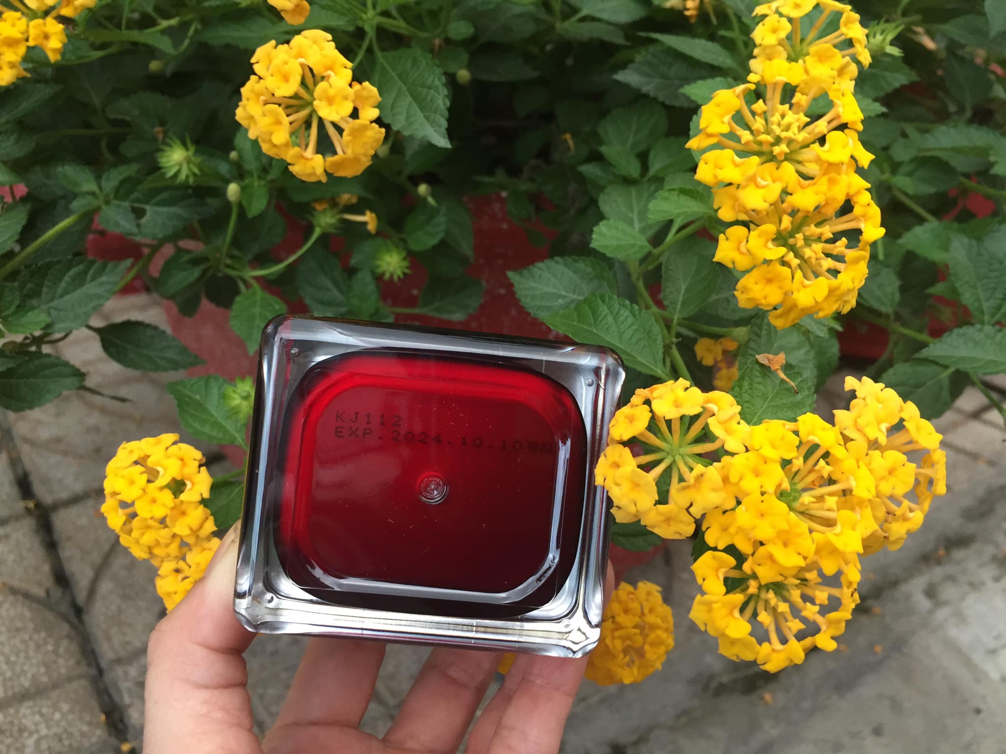 Kem sâm Hàn Quốc My Gold trắng da 50 ml