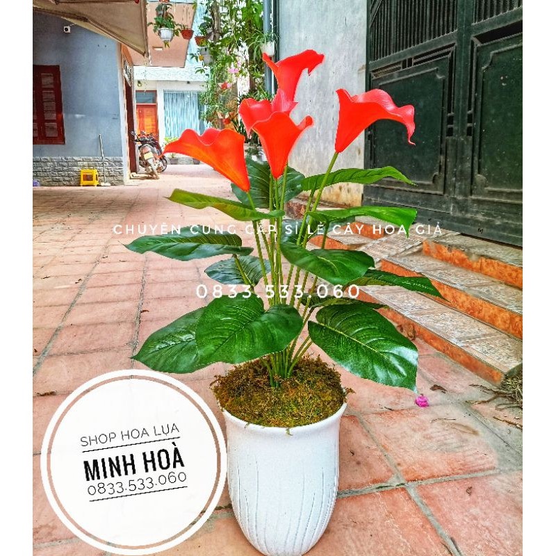 Cây Hoa Rum giả Cao 70cm, 5 bông - Ko kèm chậu - Cây cảnh giả trang trí nhà cửa,văn phòng,decor