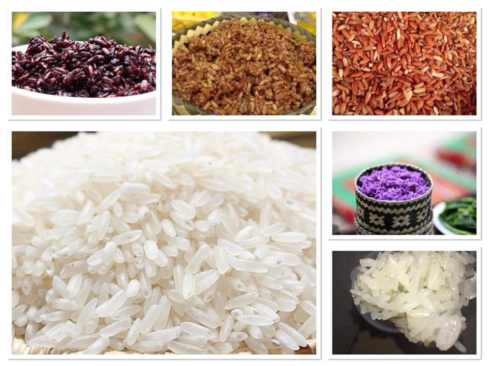 Gạo Nếp Nương Điện Biên 5kg