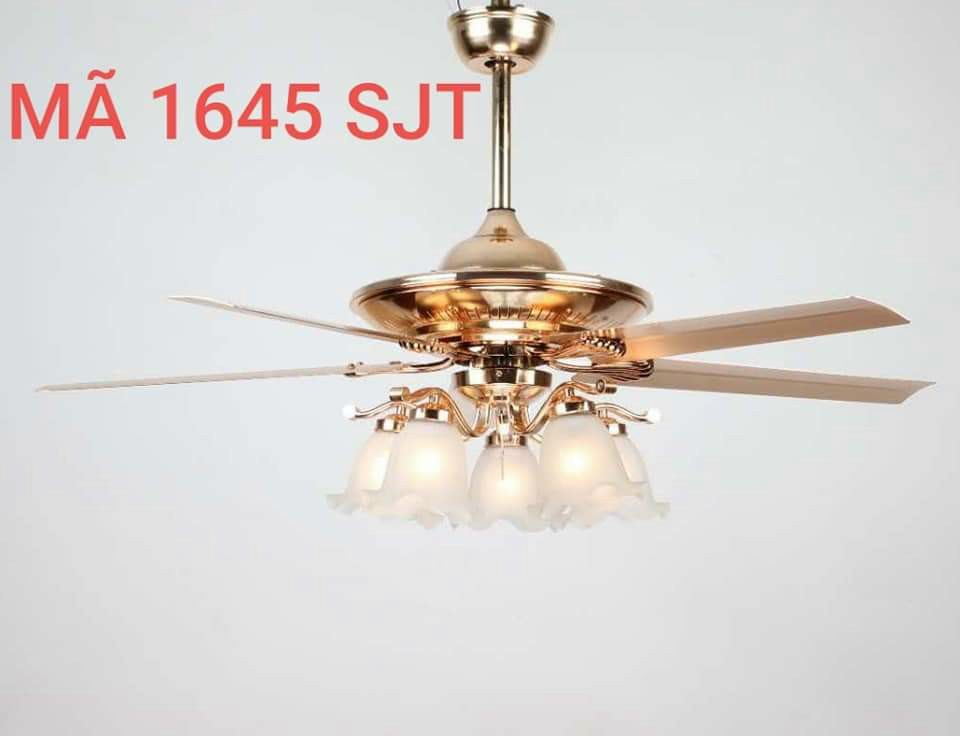 Ceiling fan lamp Phoenix Động DC motor 2 way wind 90W power saving function dehumidifier winter [bundled balloon led]