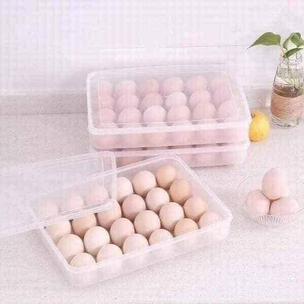 Khay Đựng Trứng 1 Tầng 24 Quả
