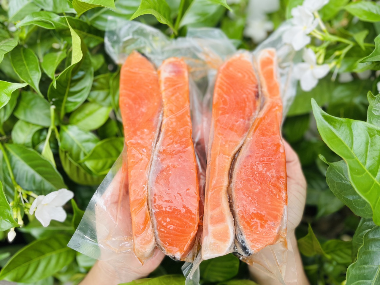 [GIAO NHANH 2H HCM] Giá Sỉ 1Kg Cá Hồi Nauy - Phi-le