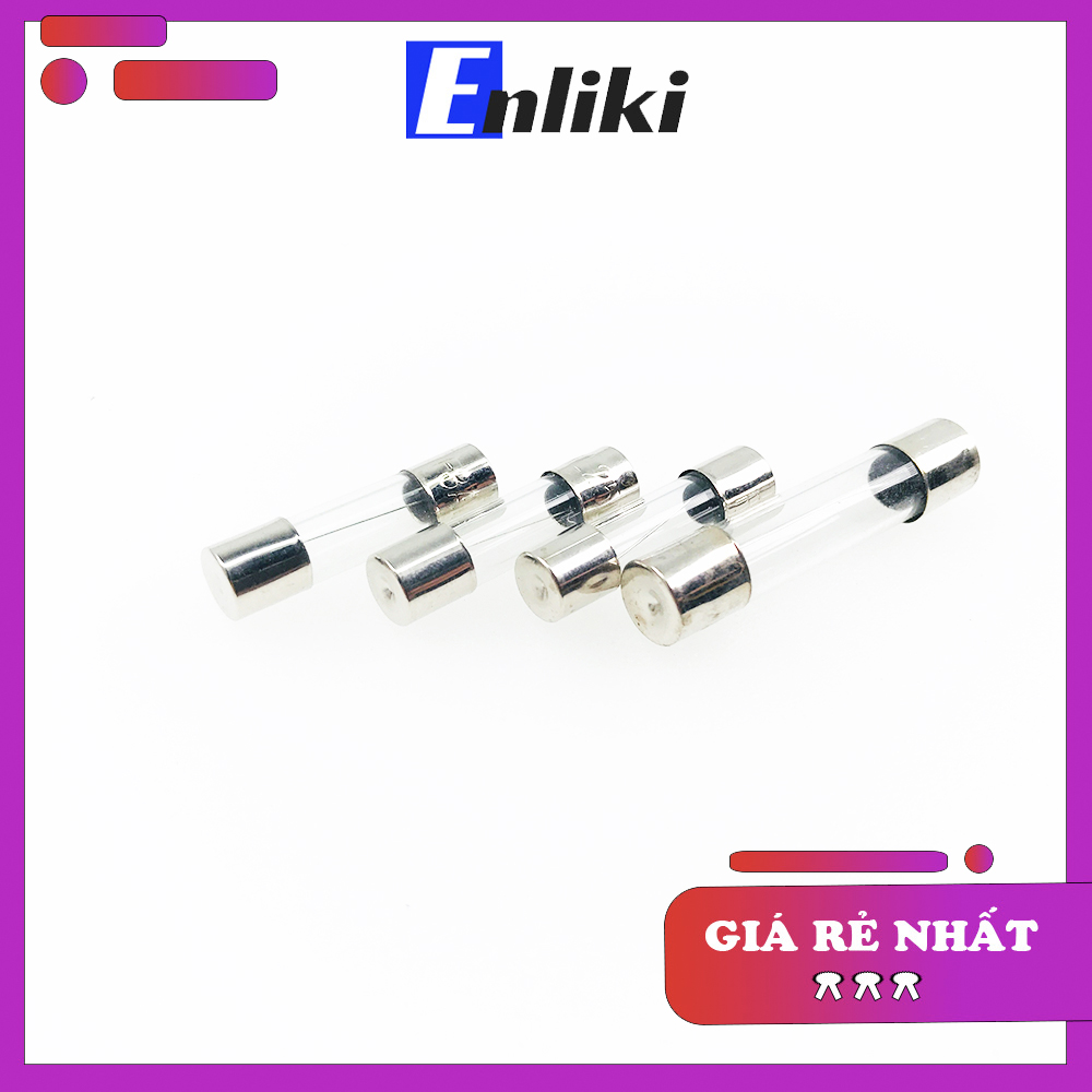 Bộ 2 Chiếc Cầu Chì 10A 5x20mm 250VAC