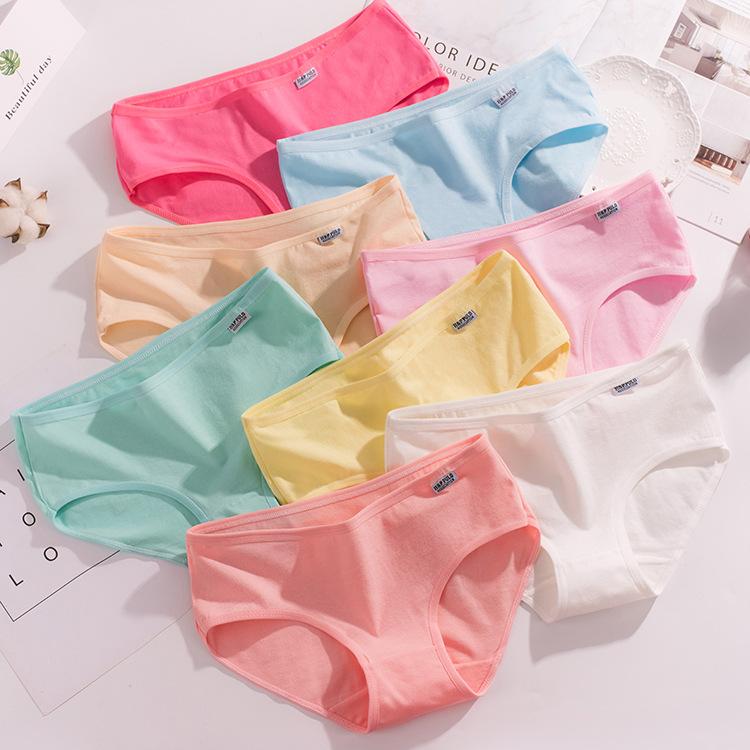 quần lót cotton pulo