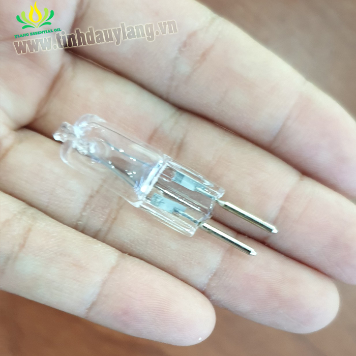 Combo 5 bóng đèn chuyên dùng cho đèn xông
