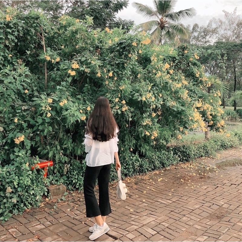 Áo trắng mỏng bèo RUCHAN