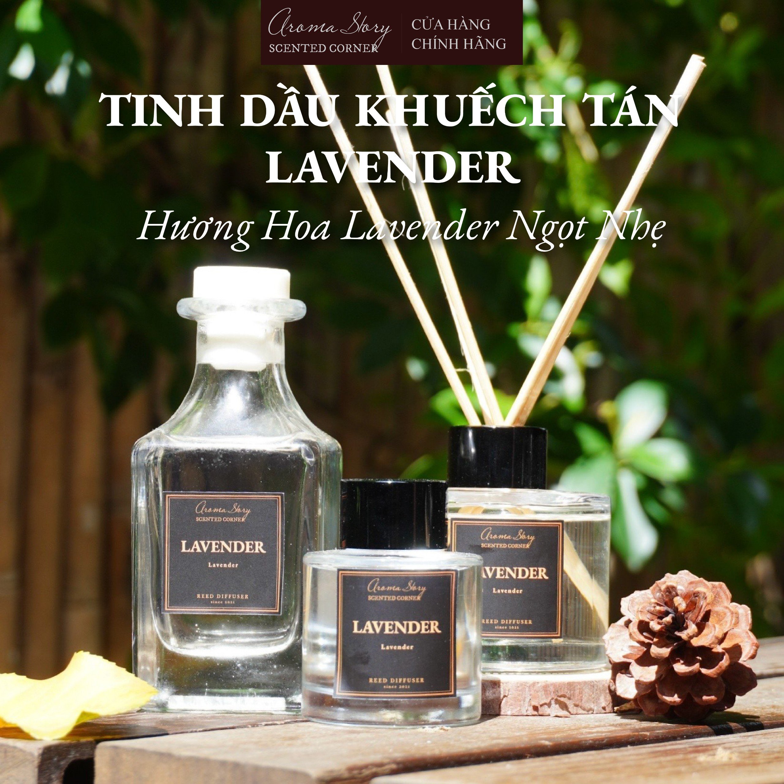 Tinh dầu khuếch tán hương Lavender Aroma Story size 50ml/100ml
