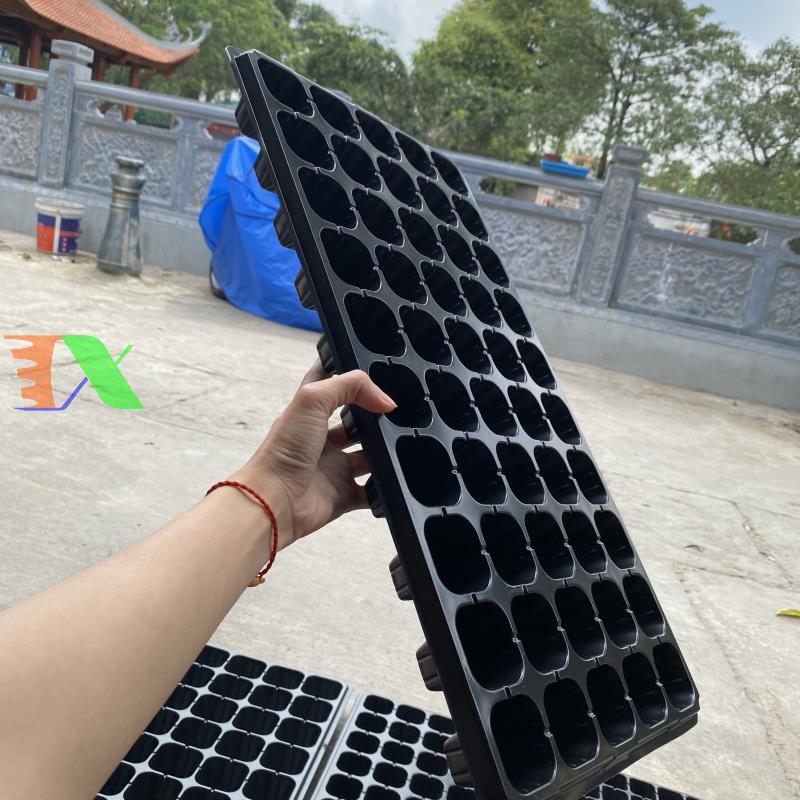 Bộ 5 khay ươm cây, khay ươm hạt, vỉ ươm (128 lỗ)(Đen)