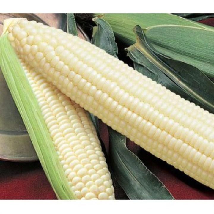HG105- Hạt giống ngô nếp 30 hạt