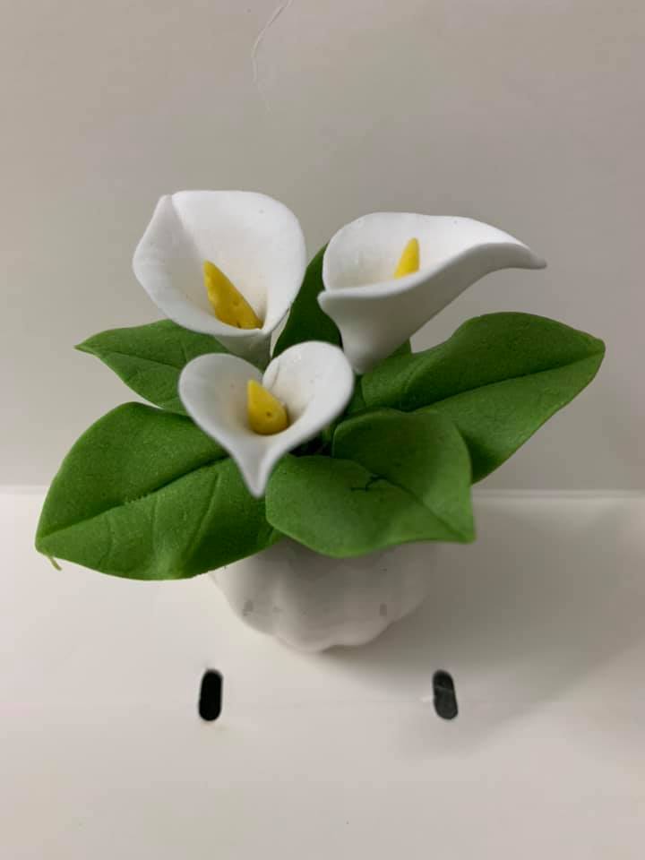 Chậu hoa đất sét mini