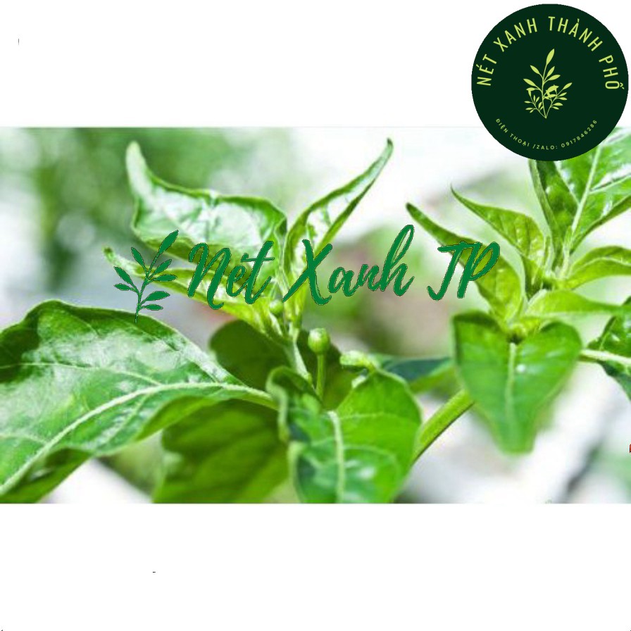 [GIAO HÀNG 2 GIỜ] Hạt giống Ớt Hiểm sai trái 0,2g