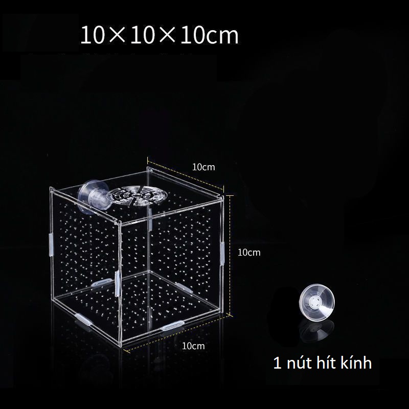 Lồng Dưỡng Cá Tép Mica Trong Suốt