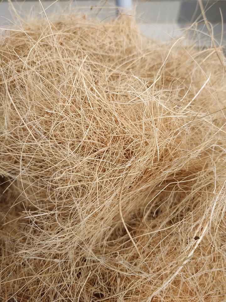 Xơ dừa chỉ trồng hoa lan 1kg