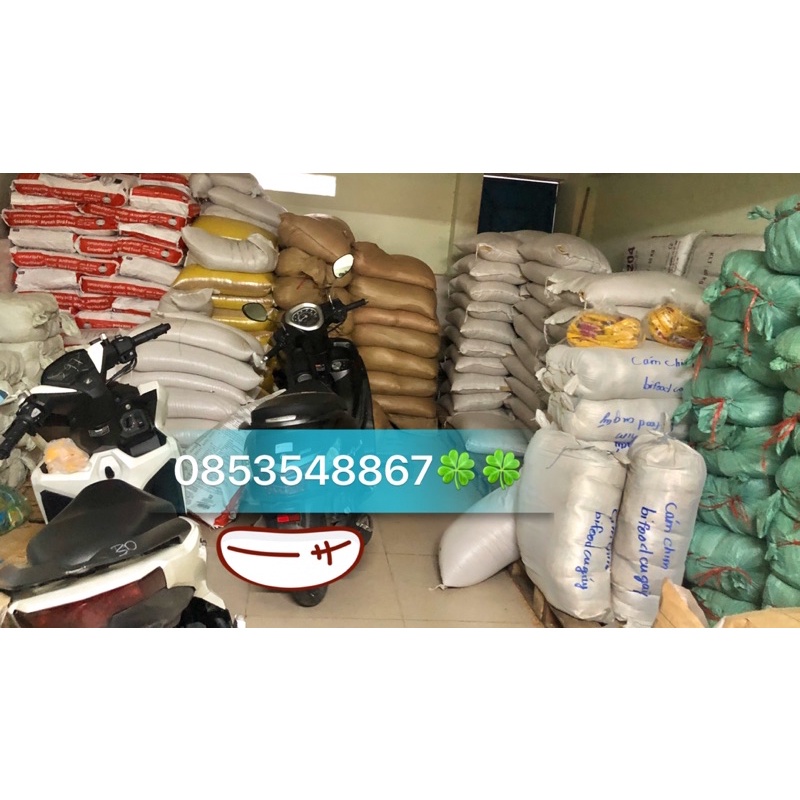 Cám Trứng Bifood Vàng (Loại 1) 500g - Thức Ăn Chim.