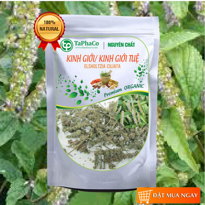 Cây kinh giới sấy khô 500g - tấn phát