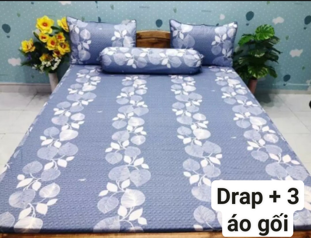 [HCM]Bộ Drap Cotton Thắng Lợi {4 MÓN} đủ size { chuẩn logo]