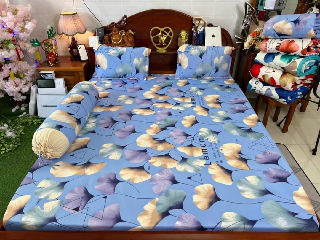 (M6*2M NỆM 20-30CM) Bộ drap ga thun Hàn quốc Vạn Phát không mền