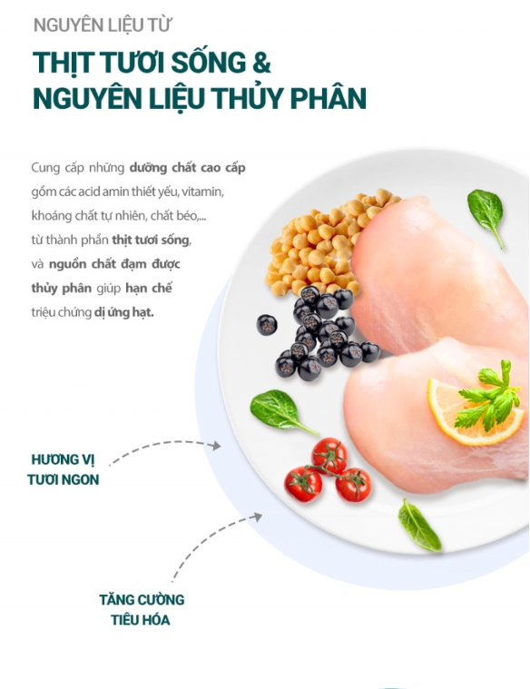 [1,2 kg] Thức ăn hạt ISKHAN JUNIOR dành cho chó nhỏ túi 1,2kg