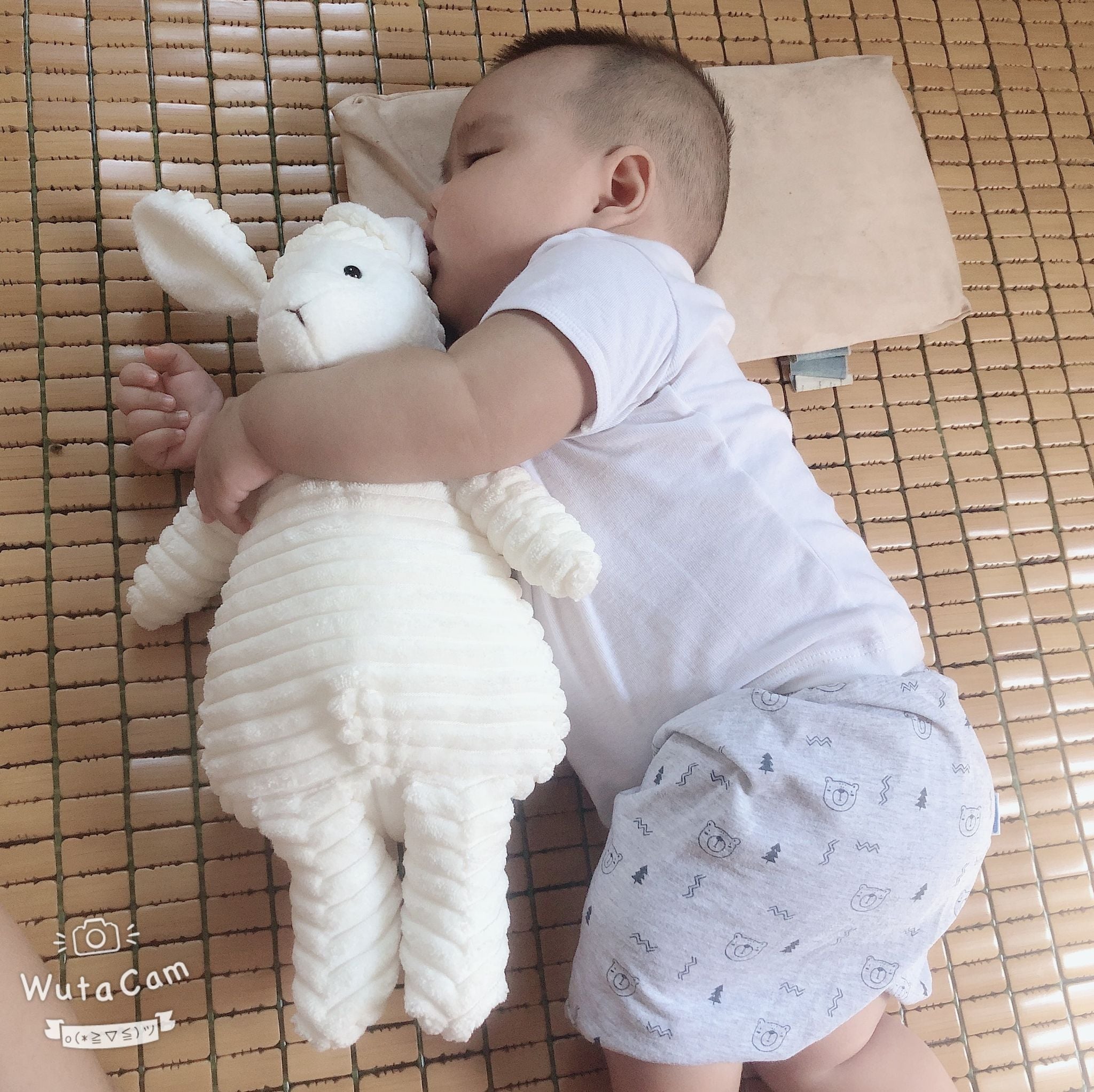 Gấu bông thỏ, cừu, chó , cáo, vịt , sư tử cho bé sơ sinh