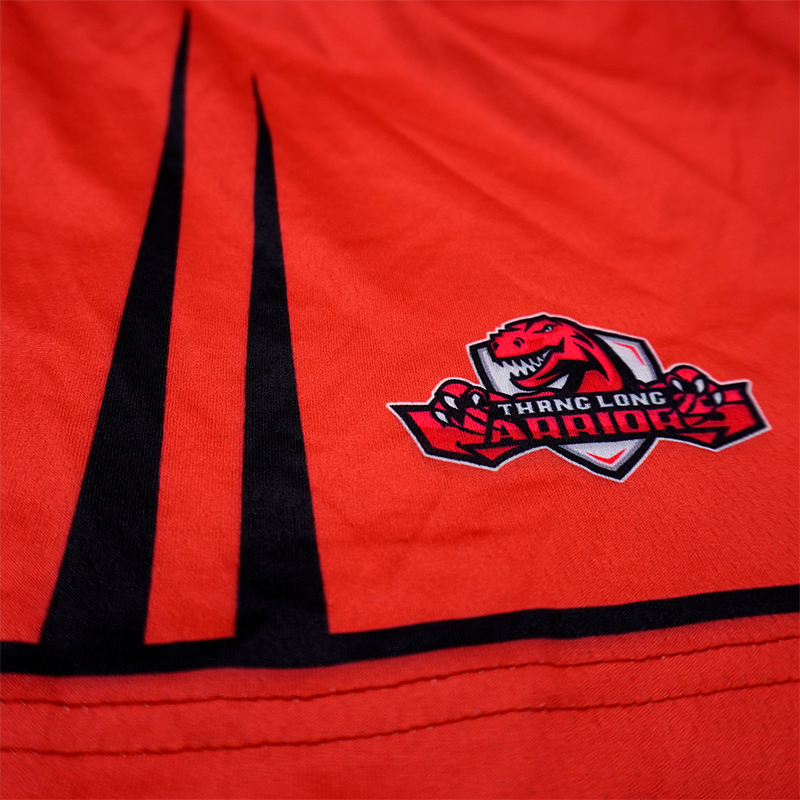 Đồ bóng rổ Thang Long Warriors VBA 2021