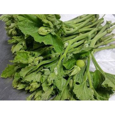 20H - Hạt Giống Bí Siêu Ngọn (Cucurbita Maxima) Thái Lan